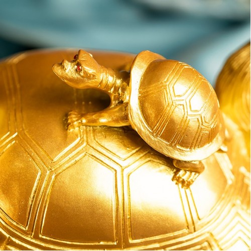 金龙龟 (大)