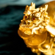 金龙龟 (大) 金龙龟 (大)